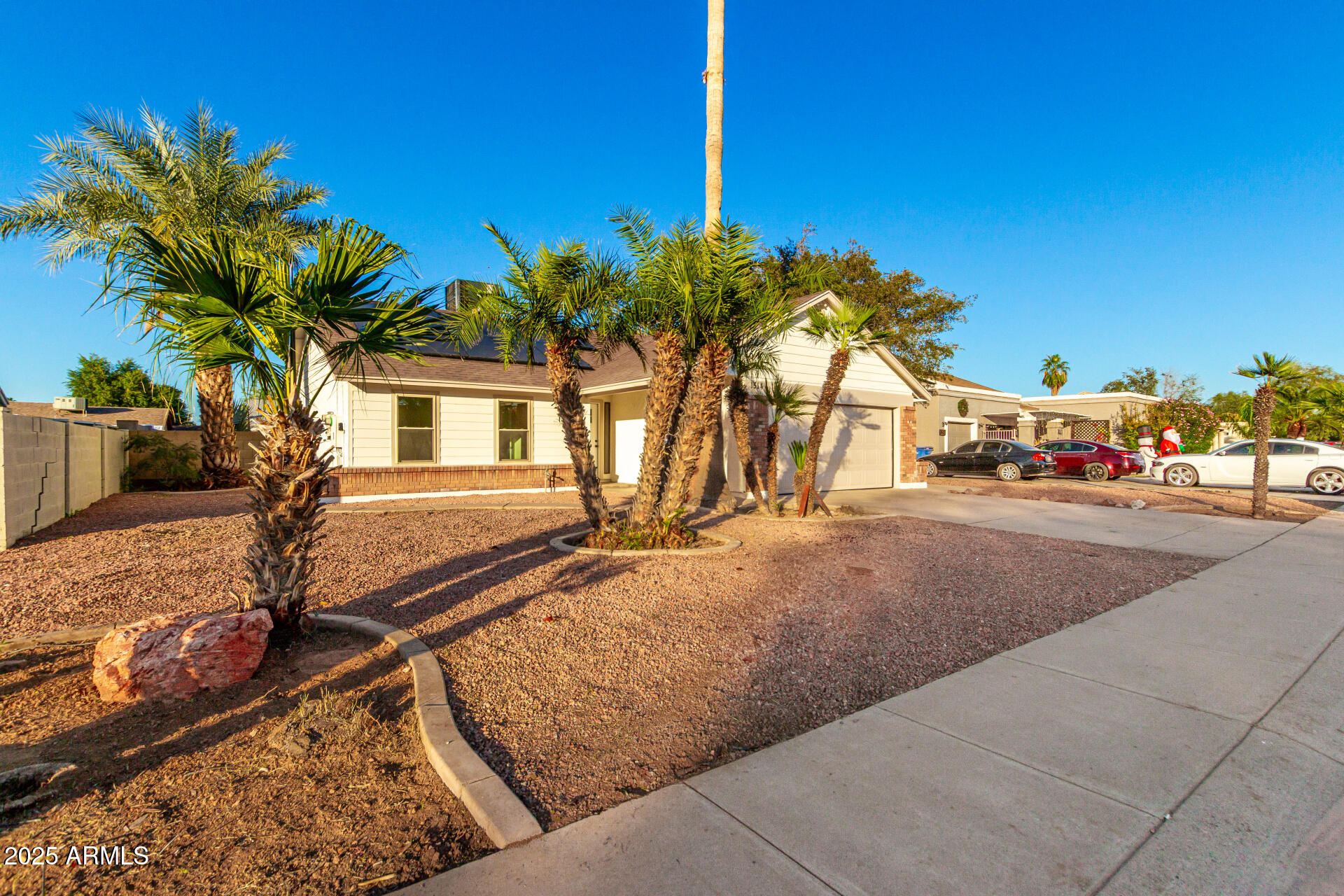1514 West Loughlin Drive Chandler, AZ 85224 - Photo 7 of 33 a view of a palm tree with dinning table and chair in the patio