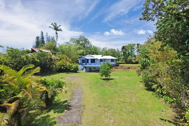 a view of a backyard with plants and a garden