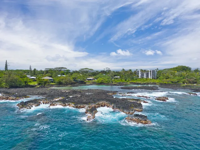 a view of a big yard