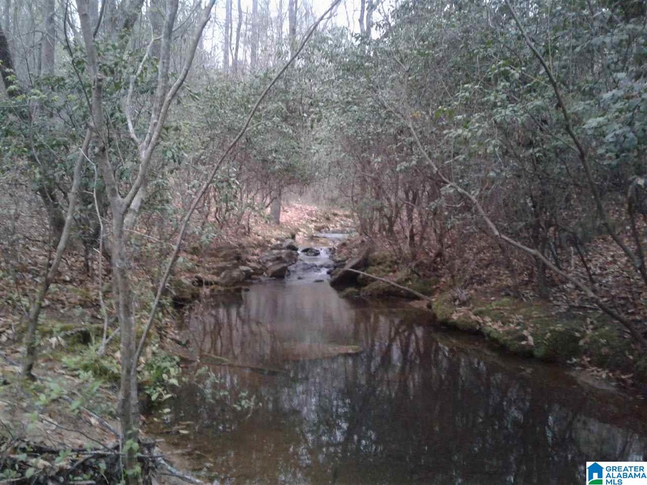 288 Fire Station Road, Unit 15 ACRES ( /) Ashland, AL 36251 - Photo 5 of 7