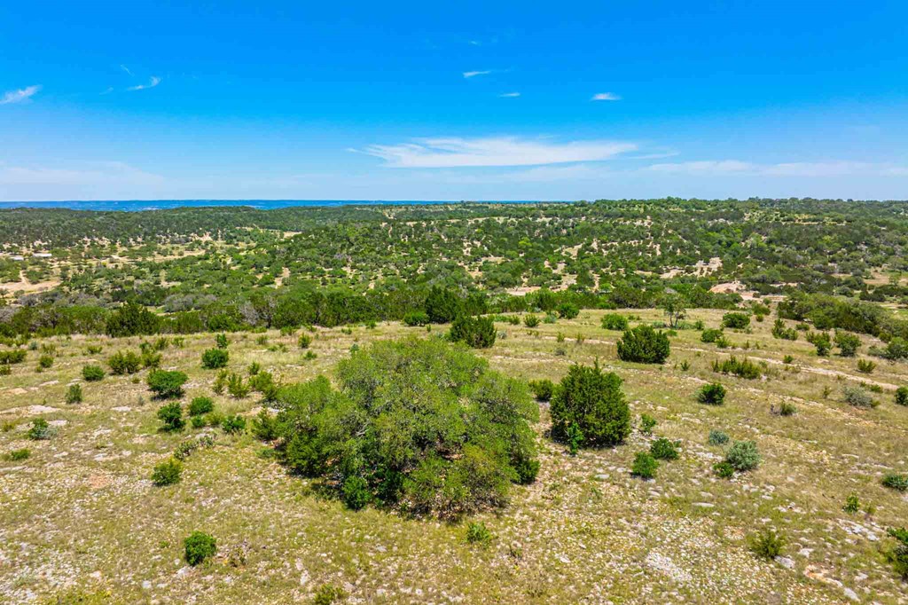 161 Flach Rnch Road Comfort, TX 78013 - Photo 12 of 69