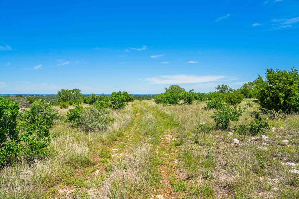 161 Flach Rnch Road Comfort, TX 78013 - Photo 14 of 69 a view of a lake with a house in the background