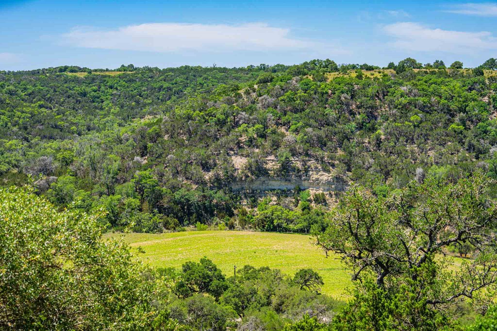 161 Flach Rnch Road Comfort, TX 78013 - Photo 16 of 69 a view of a large yard with lots of green space and houses in back