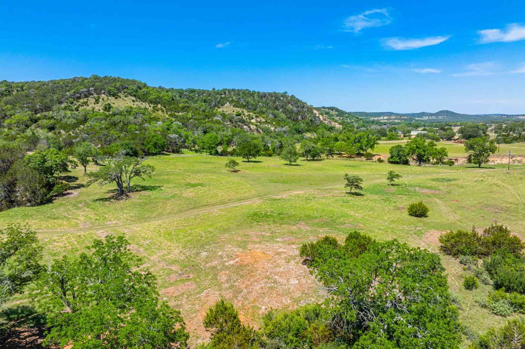 161 Flach Rnch Road Comfort, TX 78013 - Photo 17 of 69