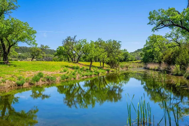 a view of a lake with a tree