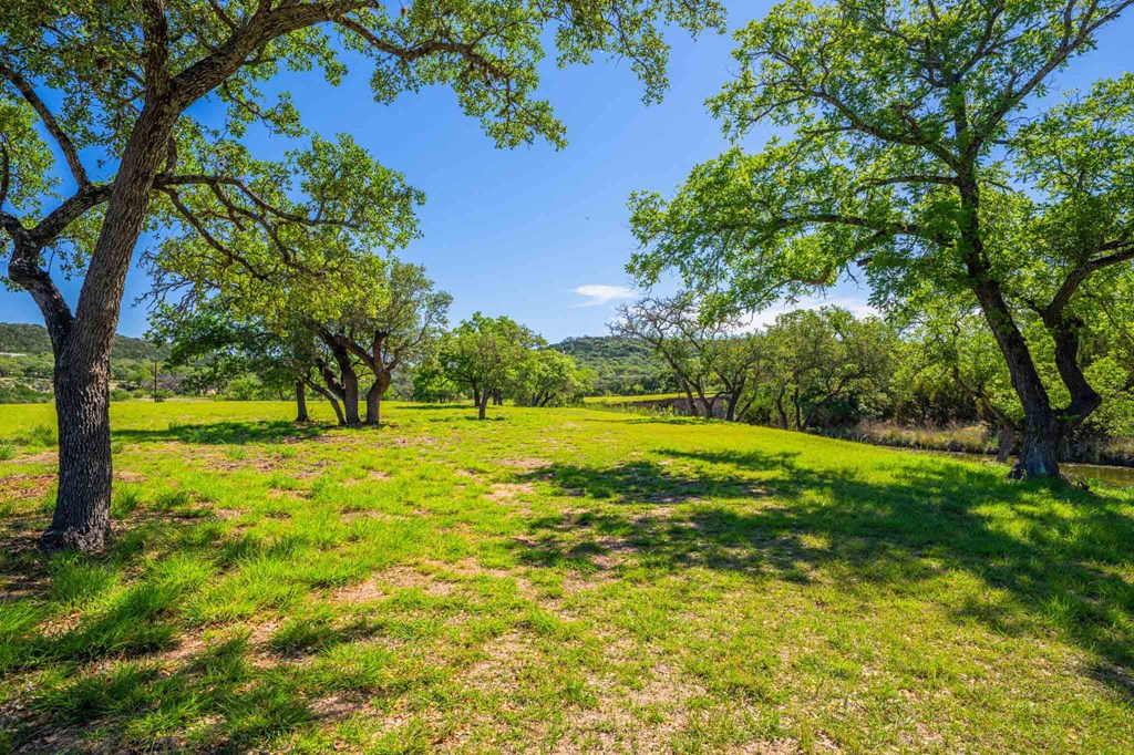 161 Flach Rnch Road Comfort, TX 78013 - Photo 53 of 69