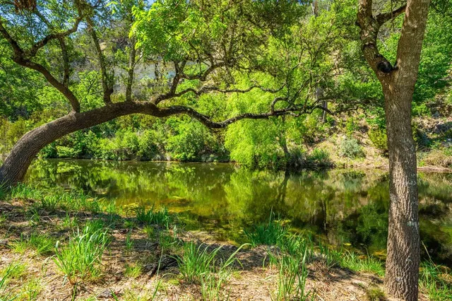 $6,250,000 | 161 Flach Rnch Road, Comfort, TX 78013