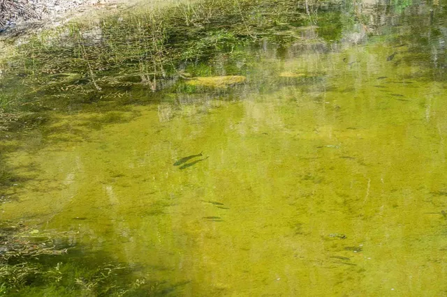 $6,250,000 | 161 Flach Rnch Road, Comfort, TX 78013