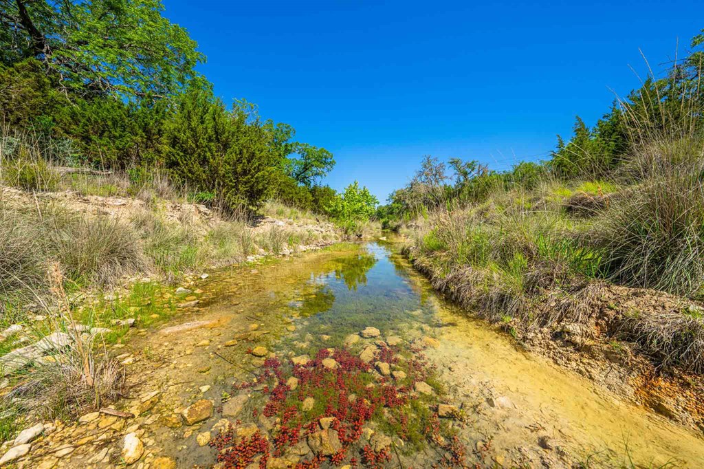 161 Flach Rnch Road Comfort, TX 78013 - Photo 62 of 69 a view of a lake with a yard