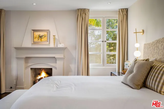 a view of a potted plant on the wall