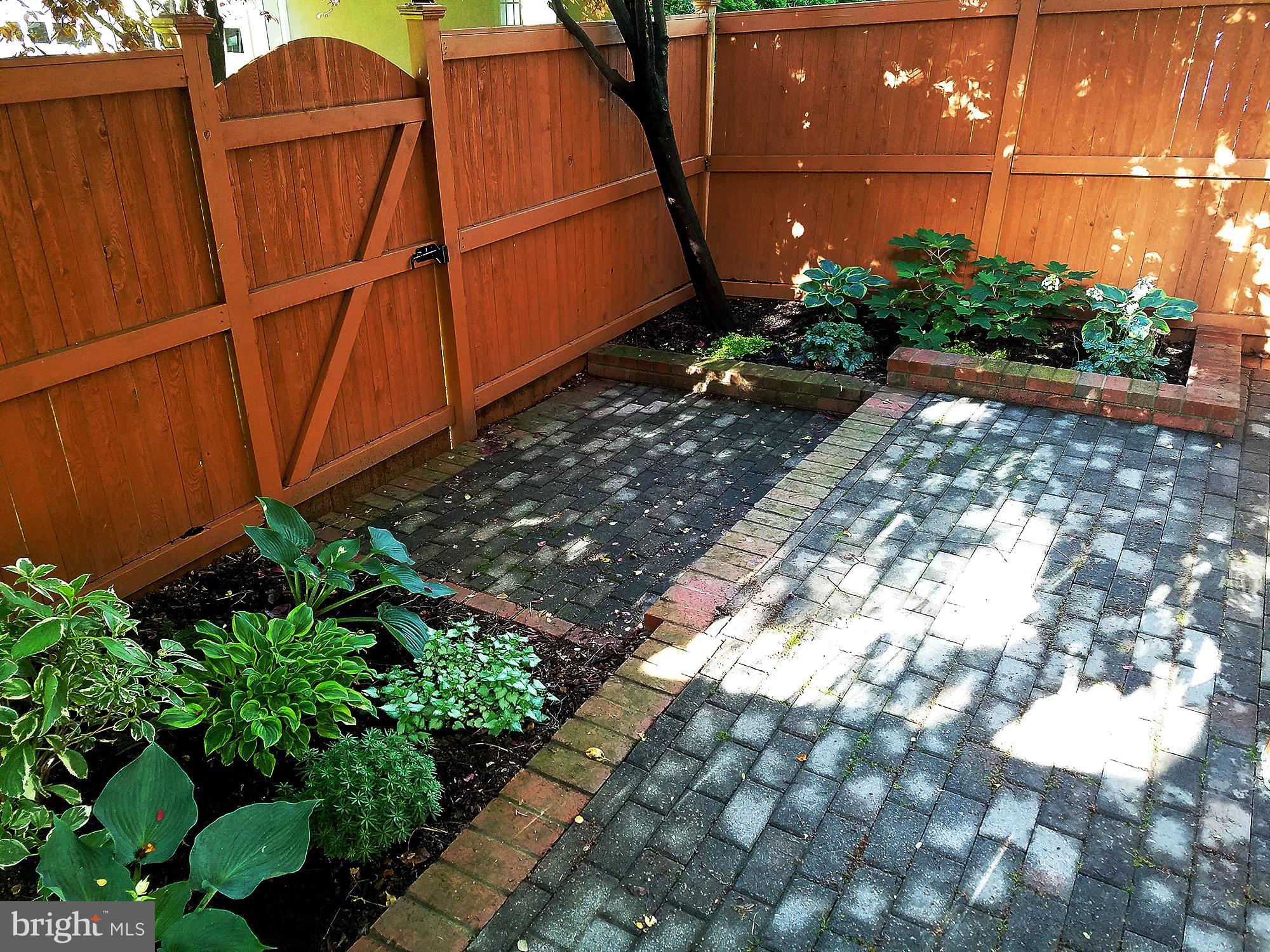 334 Helmuth Lane Alexandria, VA 22304 - Photo 6 of 7 Brick patio w/ new low-maintenance landscaping