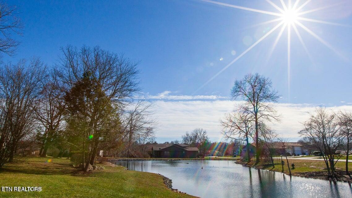 275 Hawthorn Loop Crossville, TN 38555 - Photo 7 of 59 20260112175442398967000000-o