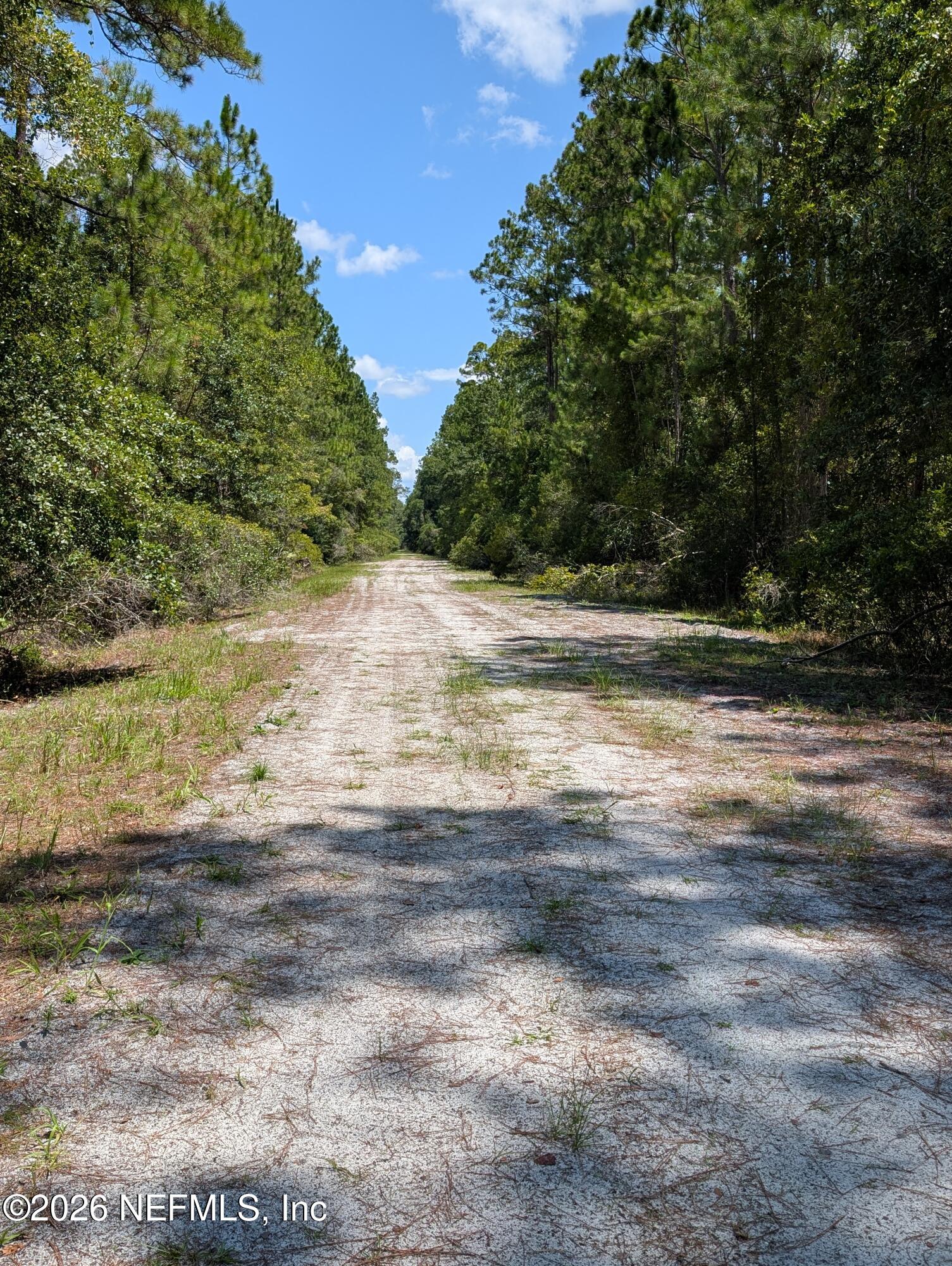 121 1st Street Georgetown, FL 32139 - Photo 6 of 6 121 SE 1ST ST 1