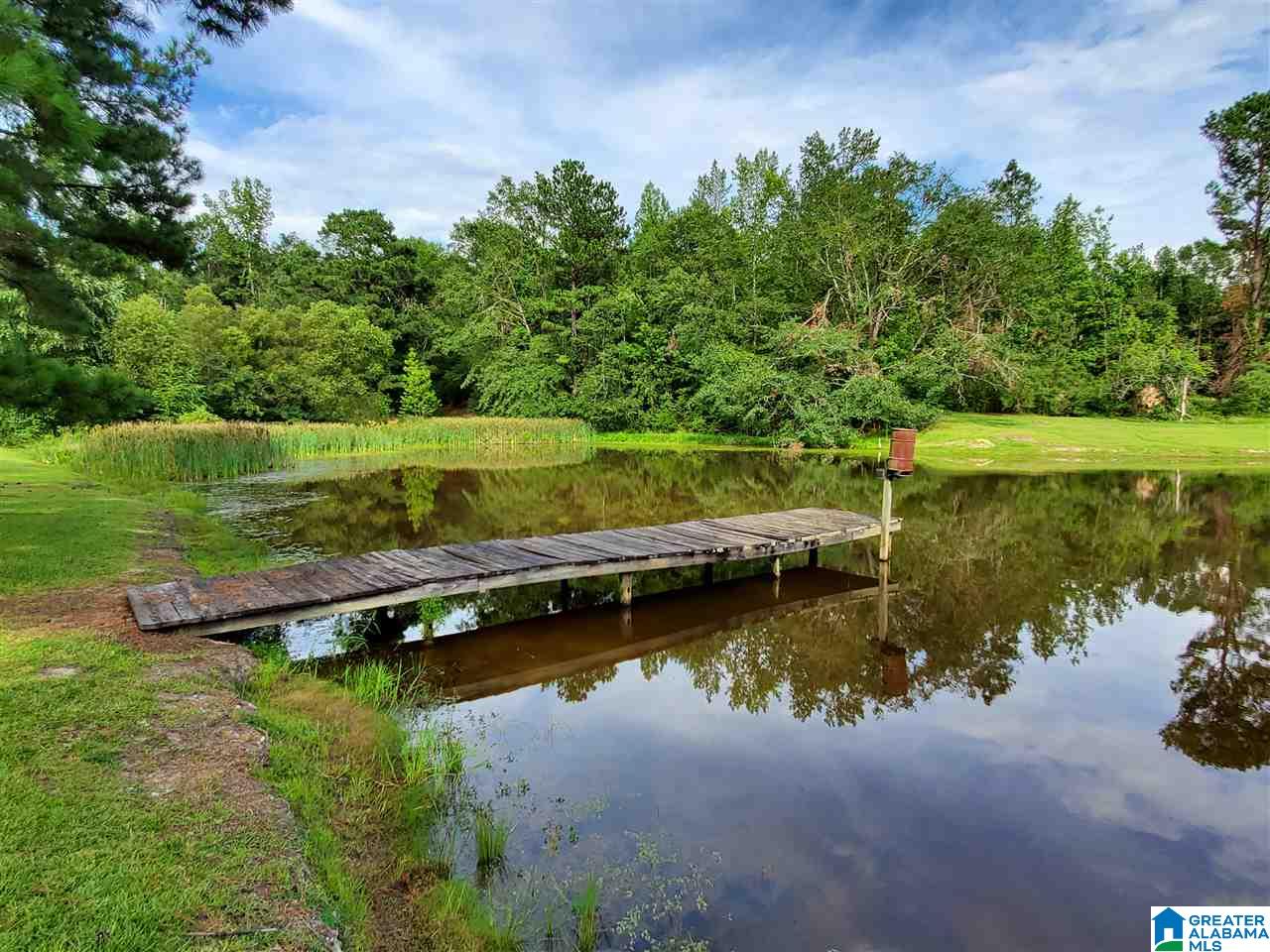 395 Hollow Branch Road Rockford, AL 35136 - Photo 5 of 26