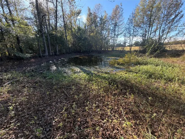 a view of a field with an ocean
