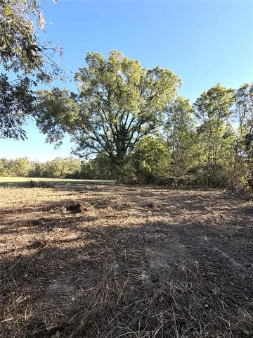 a view of backyard space