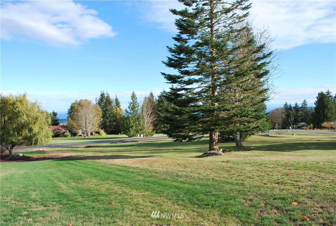 0 Ravens Ridge Road Sequim, WA 98382 - Photo 3 of 9