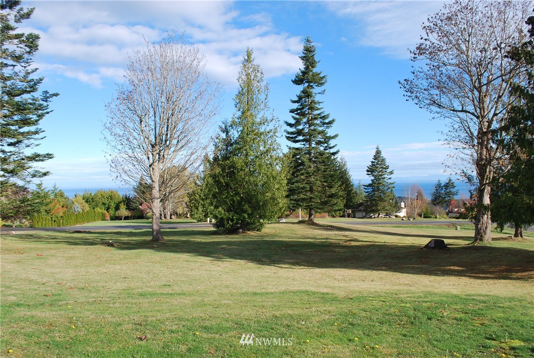 0 Ravens Ridge Road Sequim, WA 98382 - Photo 4 of 9