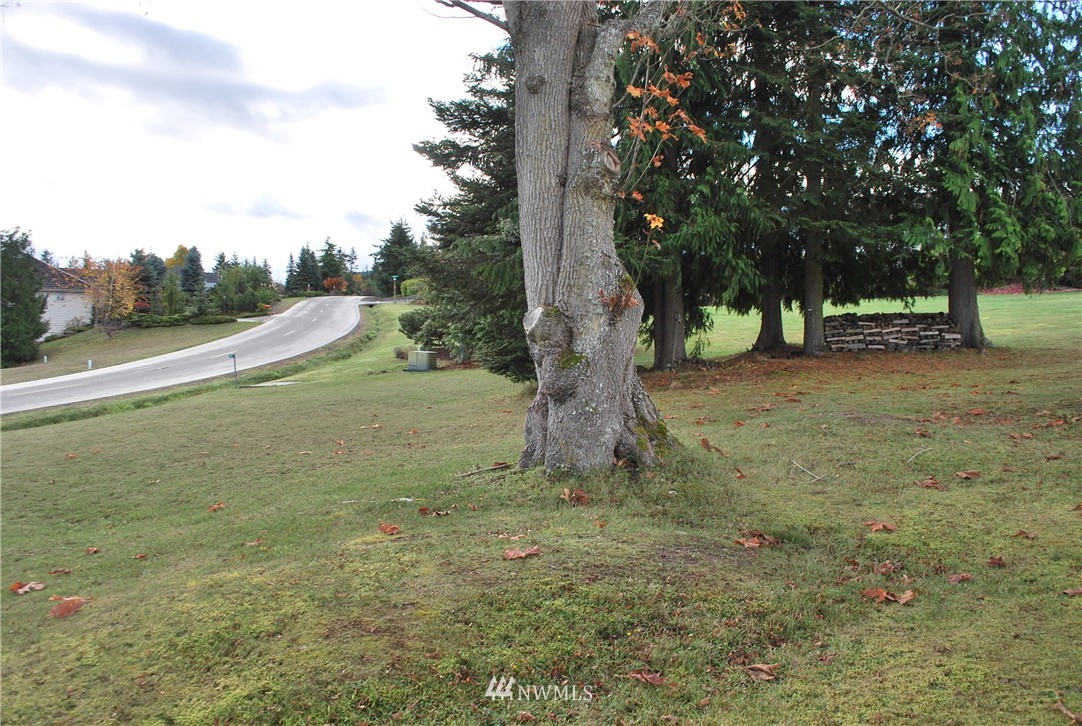 0 Ravens Ridge Road Sequim, WA 98382 - Photo 5 of 9
