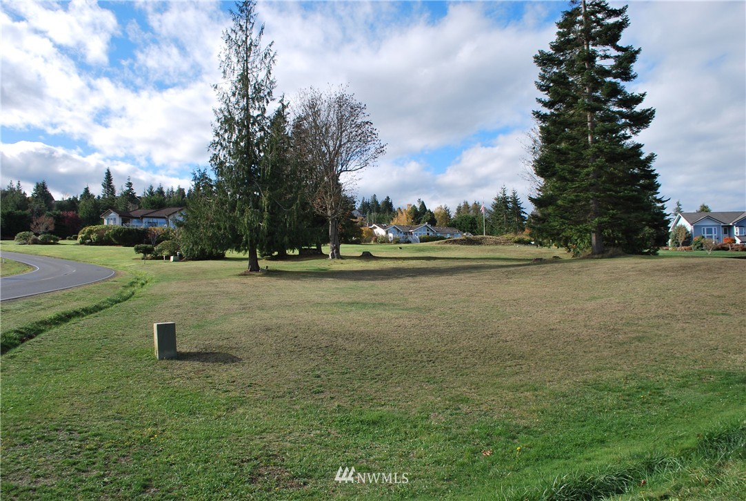 0 Ravens Ridge Road Sequim, WA 98382 - Photo 6 of 9
