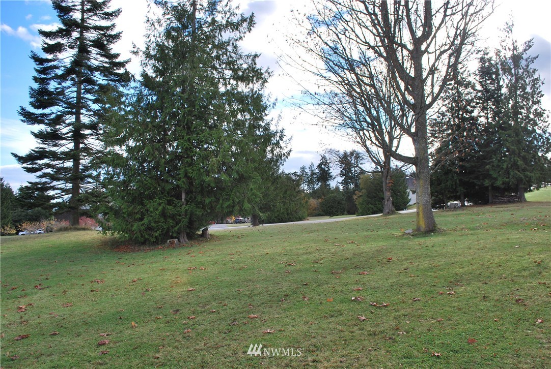 0 Ravens Ridge Road Sequim, WA 98382 - Photo 8 of 9