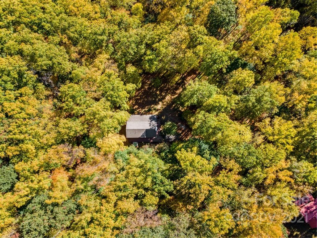 74 Apgar Road Candler, NC 28715 - Photo 42 of 46 a view of a tree with a tree in the background