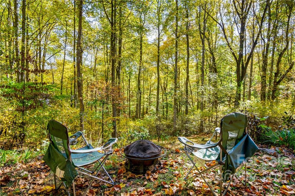 74 Apgar Road Candler, NC 28715 - Photo 44 of 46 a backyard of a house with table and chairs