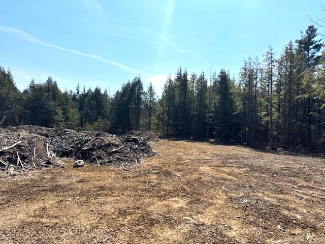 Lot 14 Milk Road Alfred, ME 04002 - Photo 7 of 22