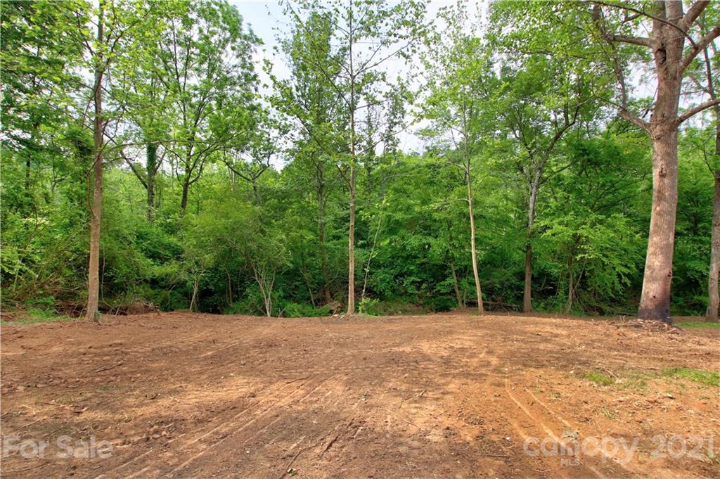 6425 Cheatham Ford Road Hiddenite, NC 28636 - Photo 28 of 40 Gallery Image 28