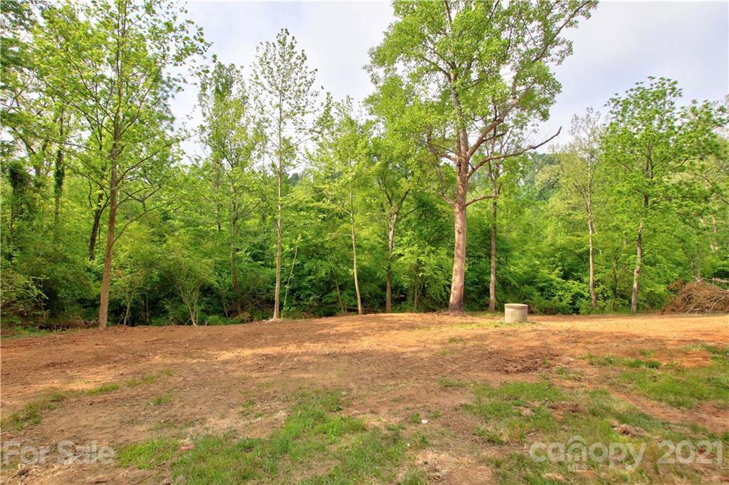 6425 Cheatham Ford Road Hiddenite, NC 28636 - Photo 33 of 40 Gallery Image 33