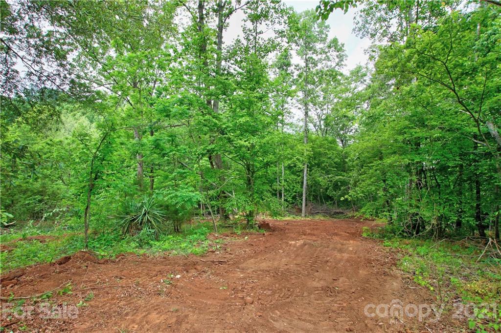 6425 Cheatham Ford Road Hiddenite, NC 28636 - Photo 36 of 40 Gallery Image 36