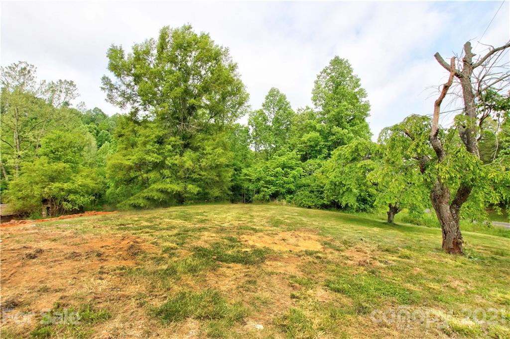 6425 Cheatham Ford Road Hiddenite, NC 28636 - Photo 38 of 40 Gallery Image 38