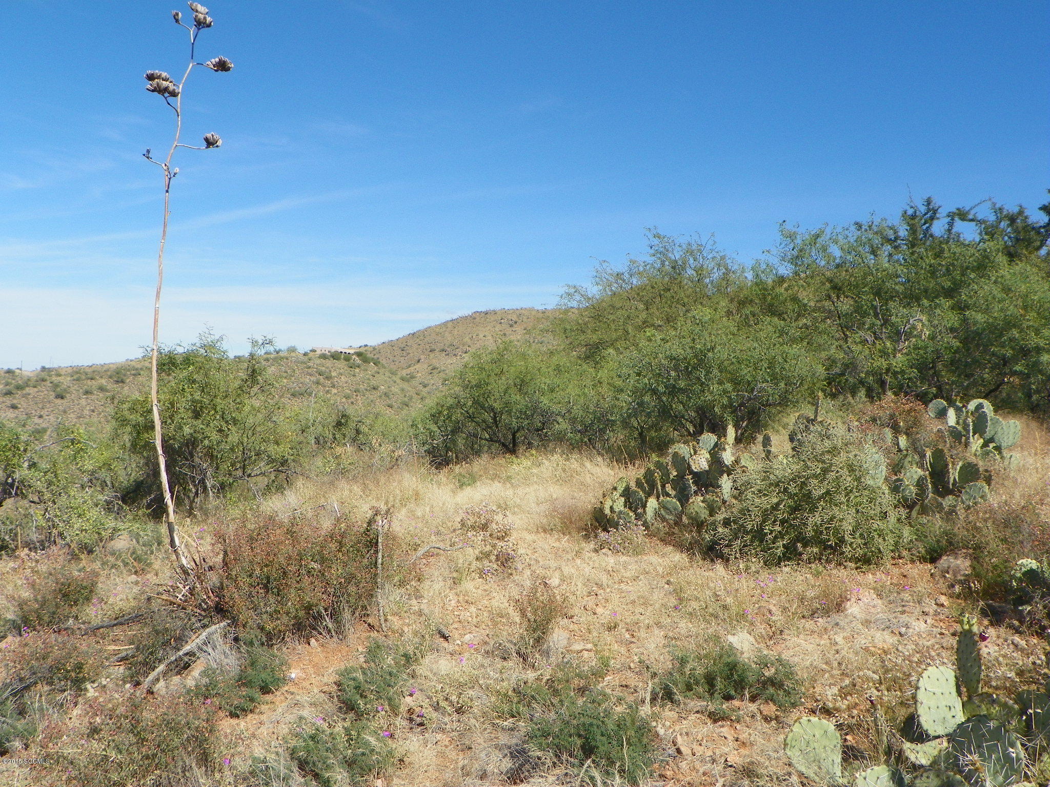 1523 Pirana Court Rio Rico, AZ 85648 - Photo 9 of 13 a view of a dry yard with lots of green space