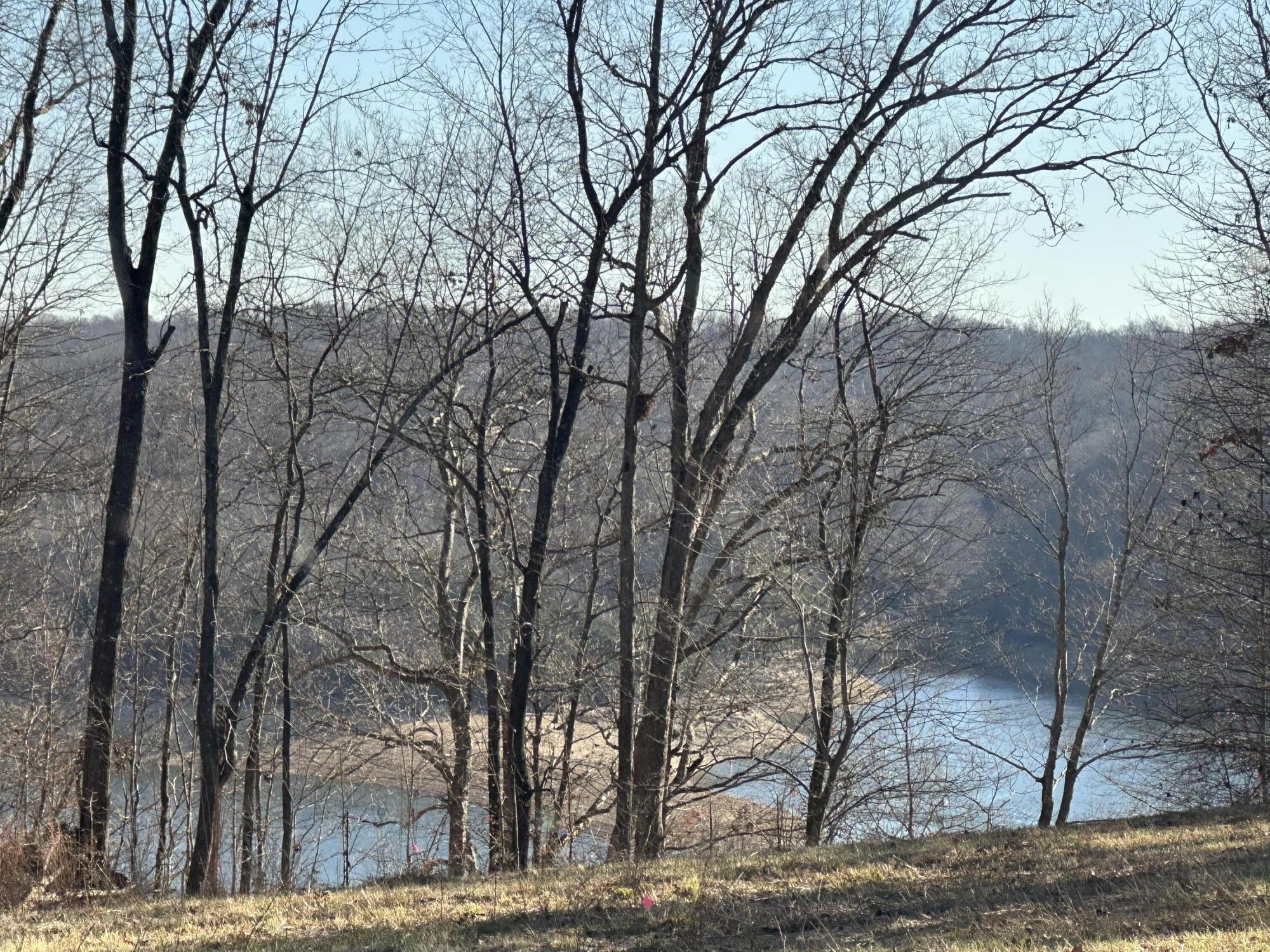 79 Shady Rst Road Nancy, KY 42544 - Photo 20 of 29 IMG_2104