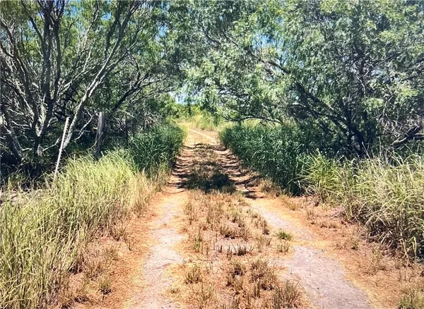 $165,000 | 0 Fm 3354 /cr-12, Bishop, TX 78343