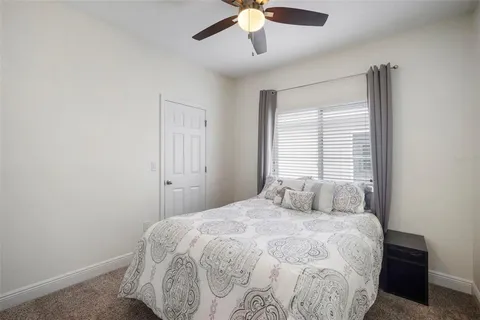 a view of a flower in front of flower