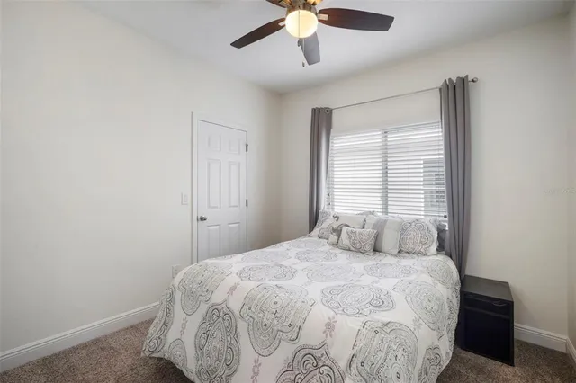 a view of a flower in front of flower