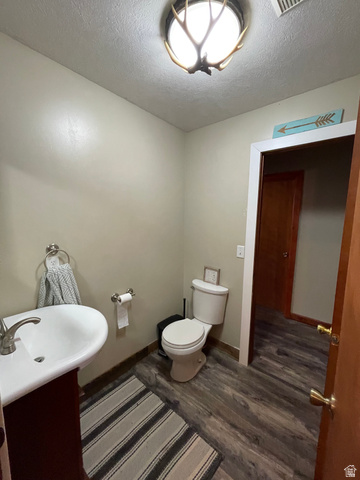 333 Lago Liberty Road Grace, ID 83241 - Photo 32 of 35 Bathroom featuring dark wood-type flooring, vanity, and a textured ceiling