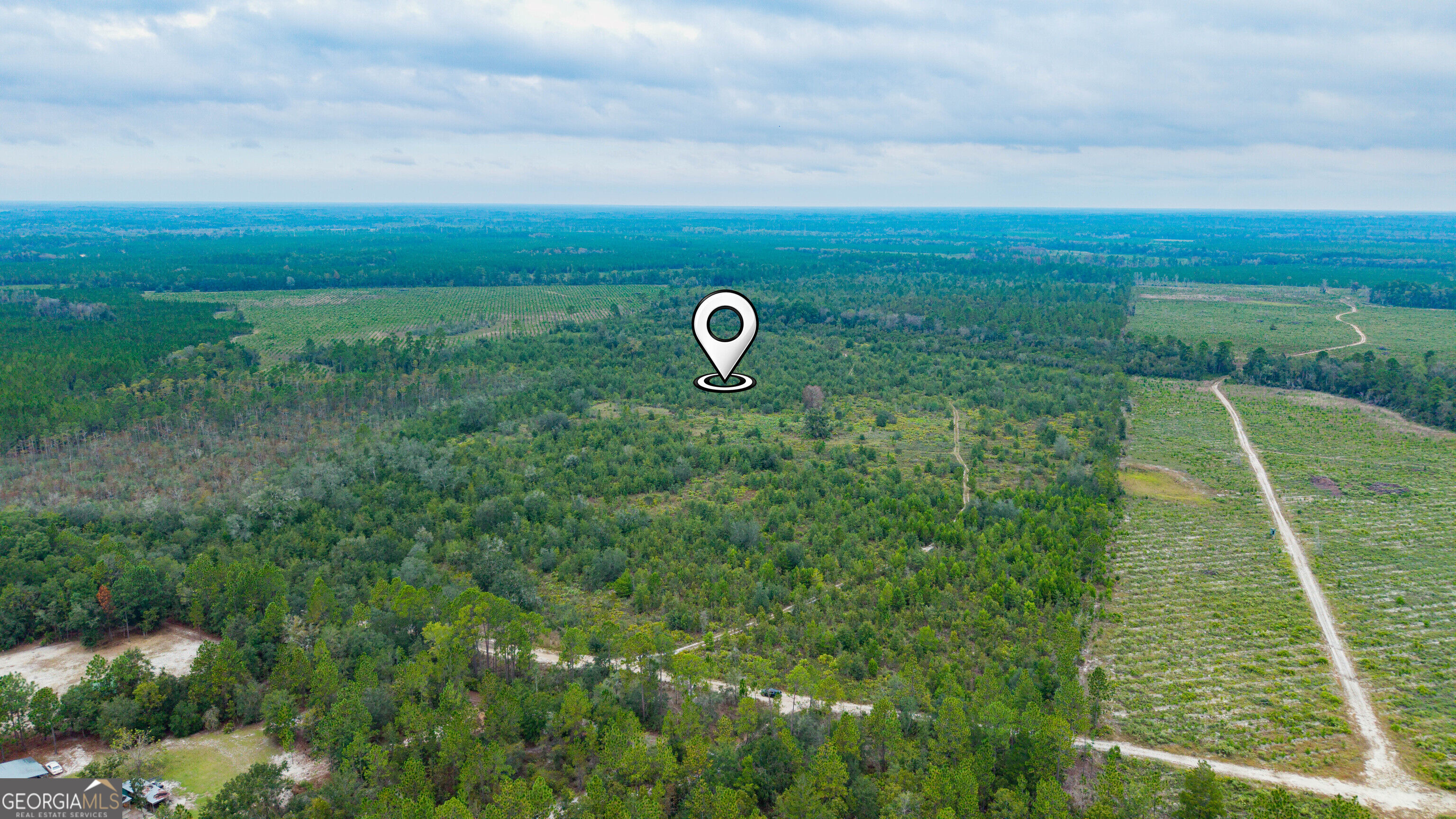0 Bennett Road Screven, GA 31560 - Photo 17 of 52 Gallery Image 17