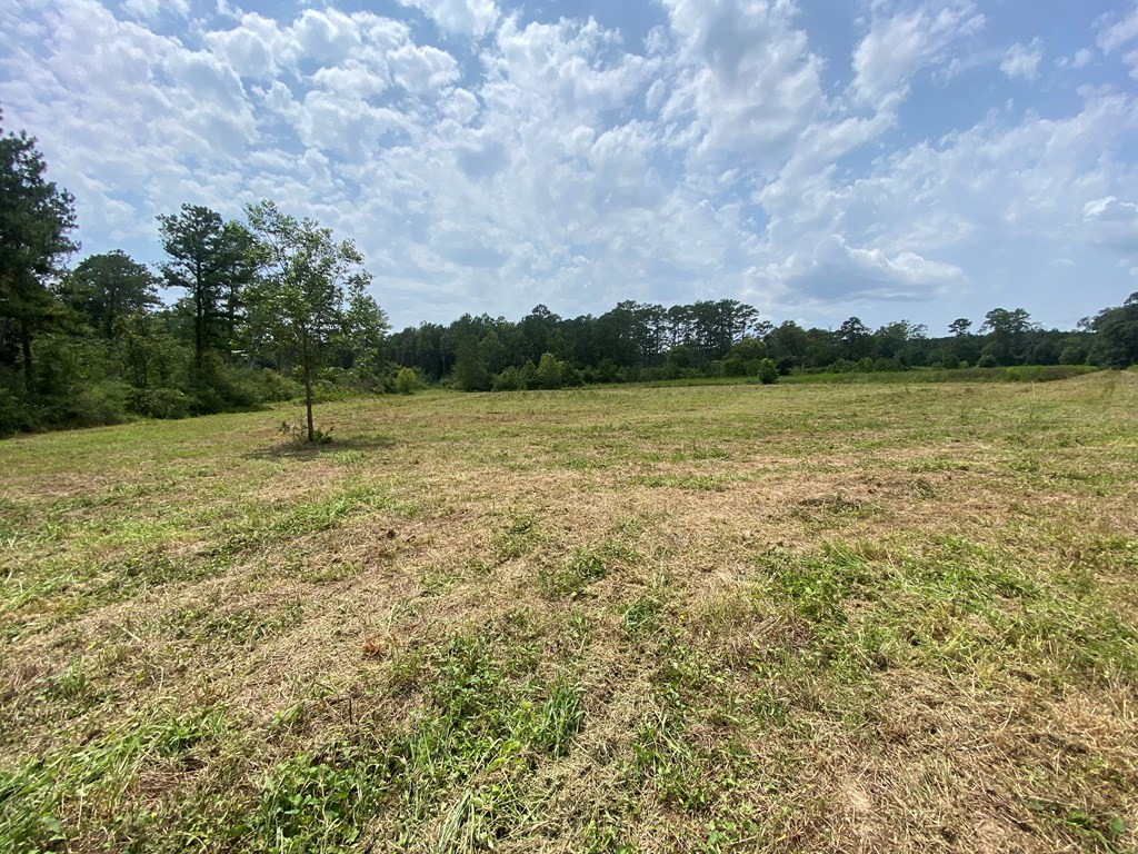 6823 Ms Highway Magnolia, MS 39652 - Photo 10 of 23 Photo 10