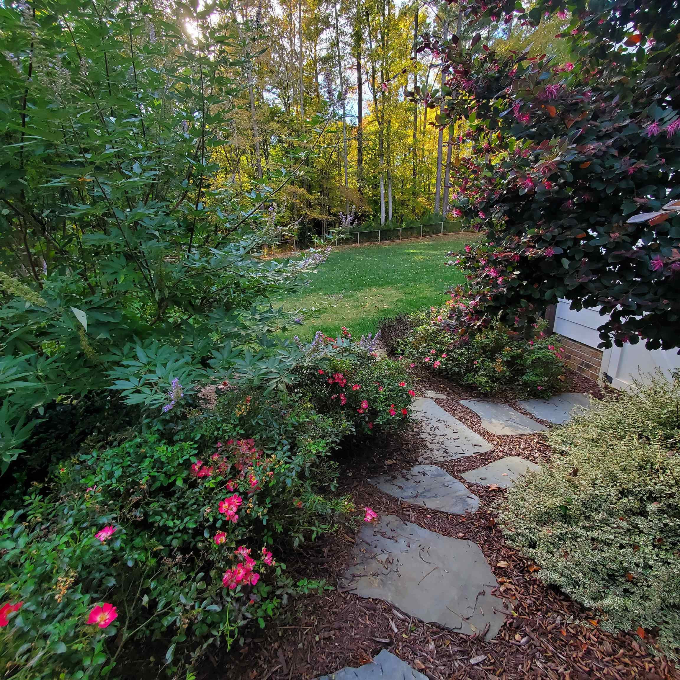 12628 Old Creedmoor Road Raleigh, NC 27613 - Photo 27 of 32 a view of a garden with flowers and trees