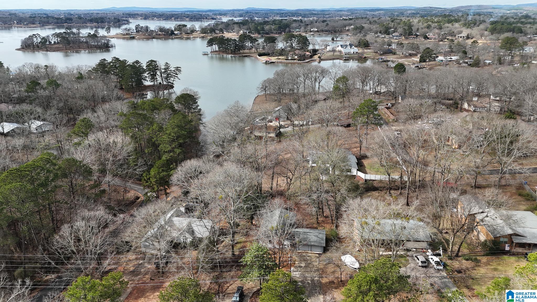 440 Funderburg Bend Road Pell City, AL 35128 - Photo 3 of 39