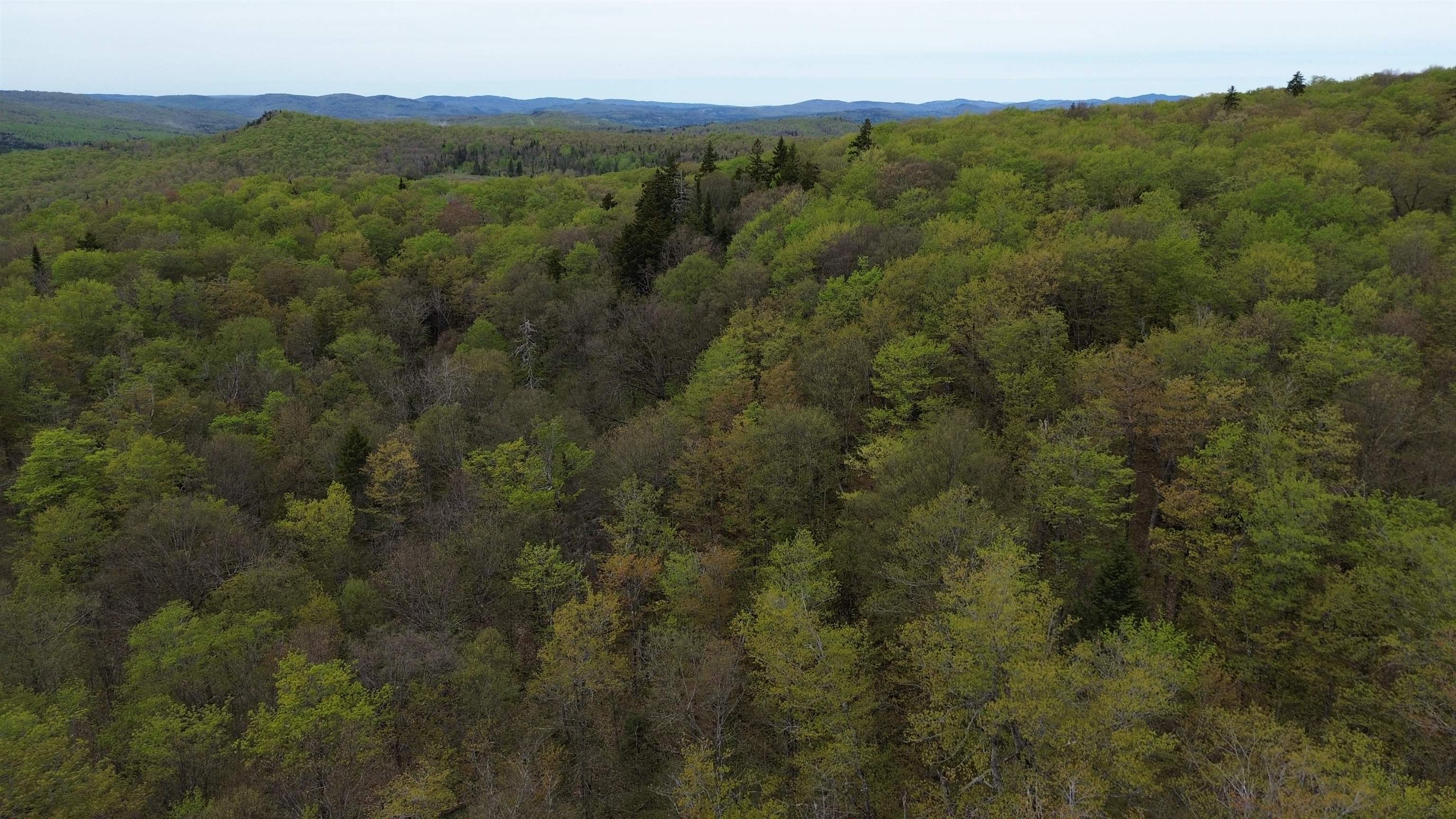 Mapb2-lot16 Dead Water Road Stewartstown, NH 03576 - Photo 31 of 31