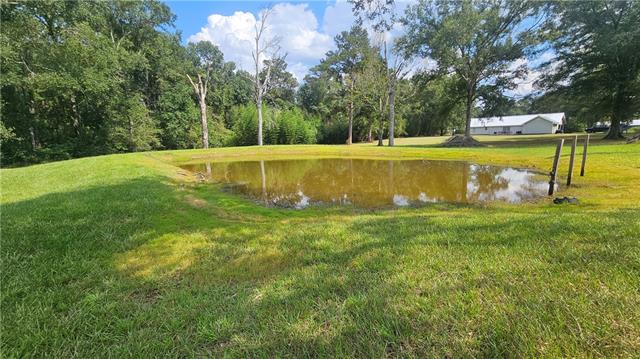 56056 J Bankston Road Loranger, LA 70446 - Photo 10 of 53