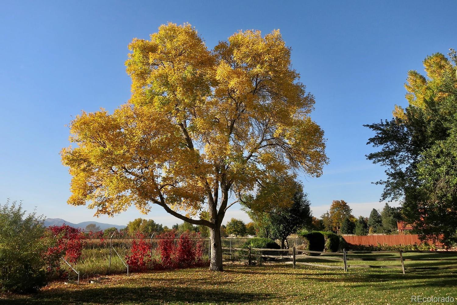 4311 Carter Trail Boulder, CO 80301 - Photo 34 of 35 a view of a yard in front of the house