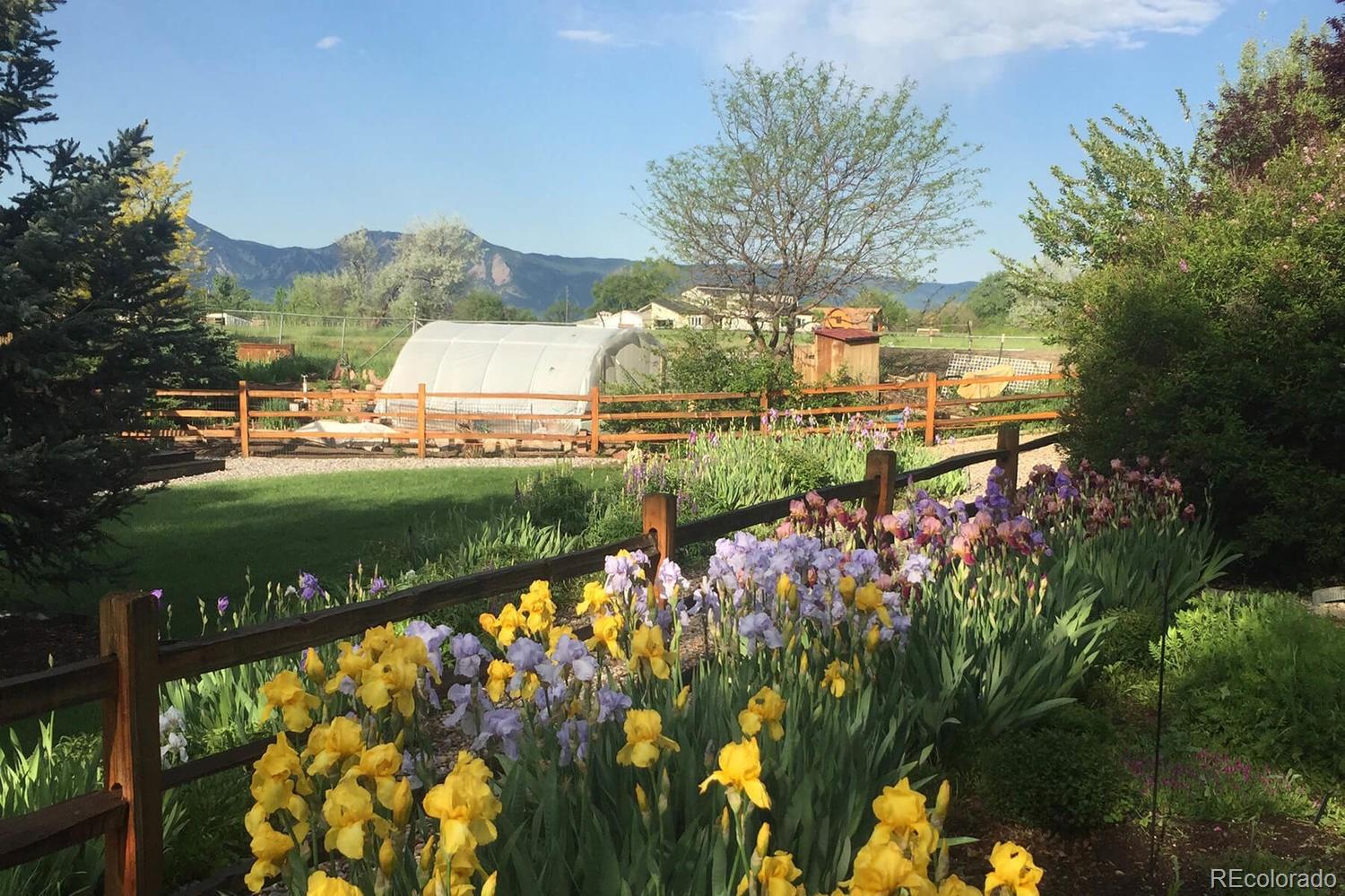 4311 Carter Trail Boulder, CO 80301 - Photo 35 of 35 a view of swimming pool and lake