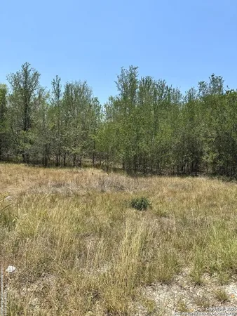 a view of a yard with trees