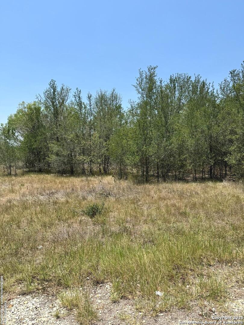 325 County Avenue Sutherland Springs, TX 78161 - Photo 2 of 6 a view of a yard