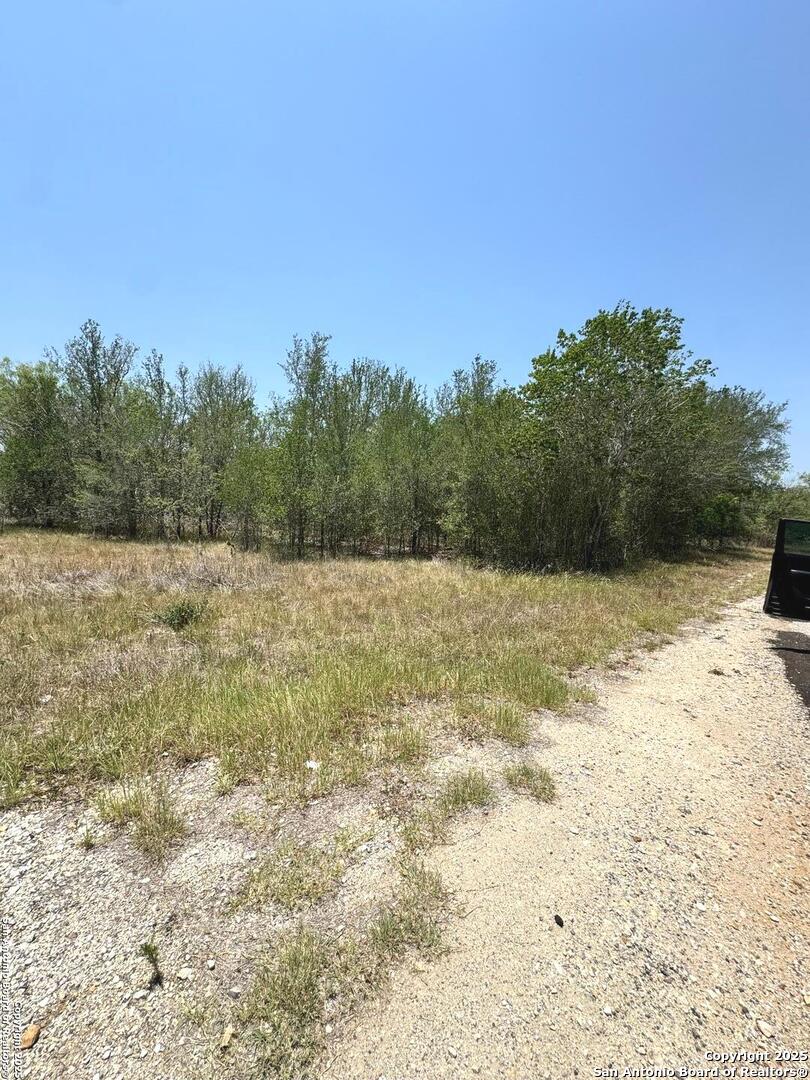 325 County Avenue Sutherland Springs, TX 78161 - Photo 3 of 6 a view of a yard with trees in the background