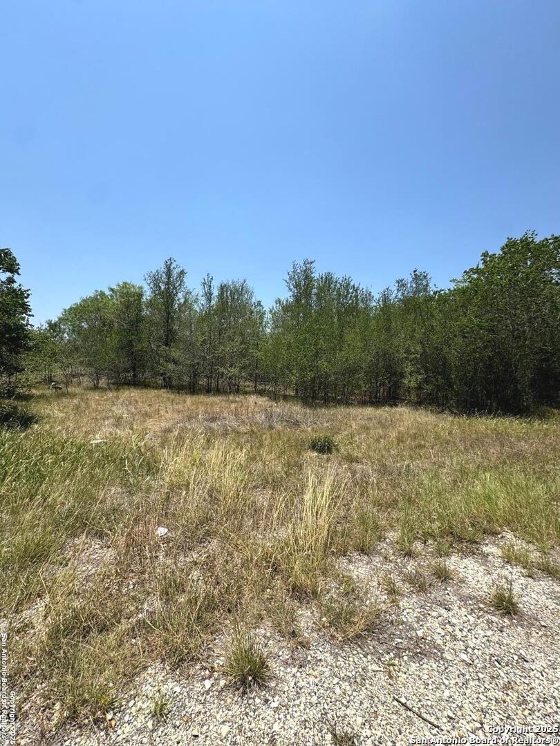 325 County Avenue Sutherland Springs, TX 78161 - Photo 6 of 6 a view of a yard with trees in the background